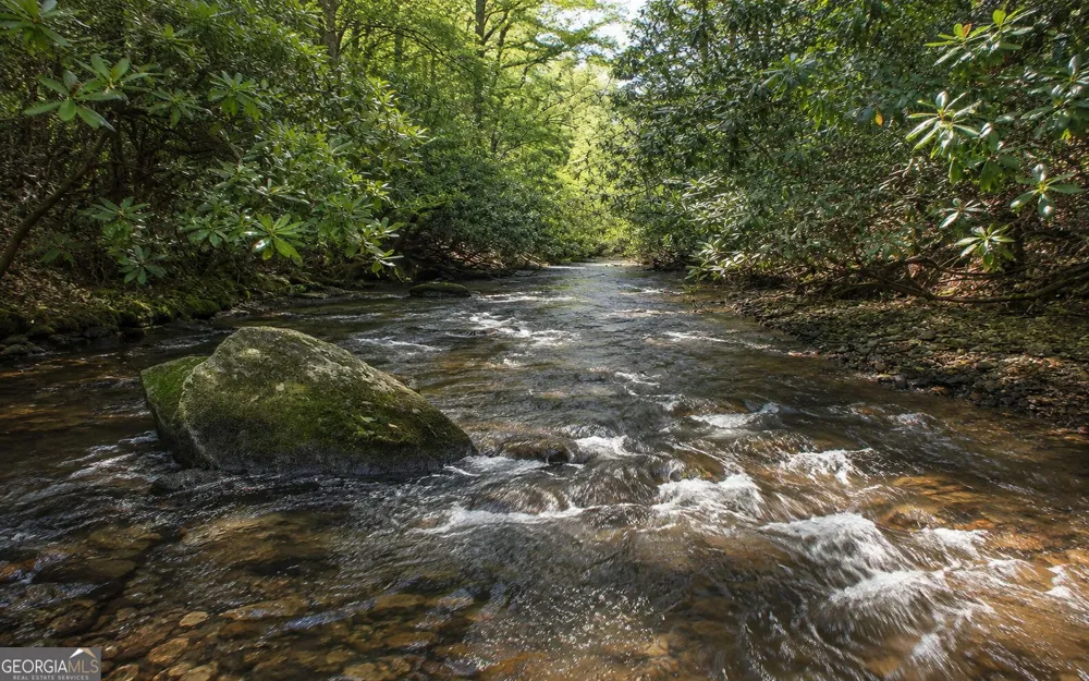 3149 Big Creek RD Cherry Log, GA 30522