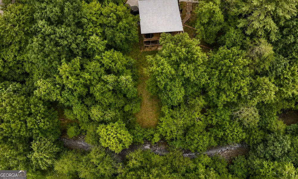 3149 Big Creek RD Cherry Log, GA 30522