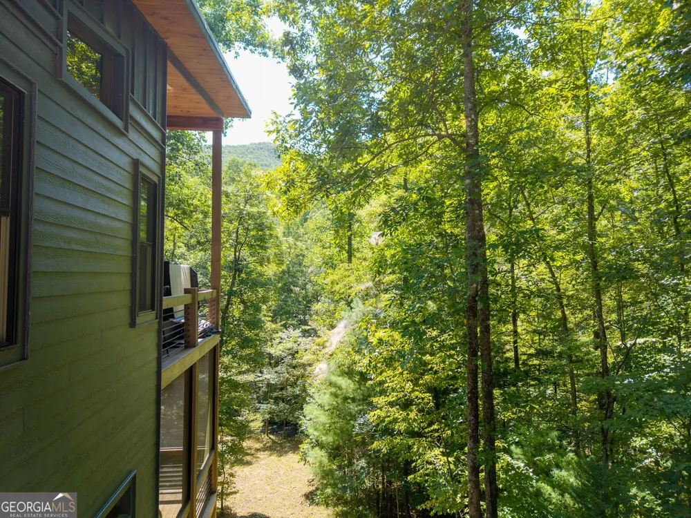 3149 Big Creek RD Cherry Log, GA 30522