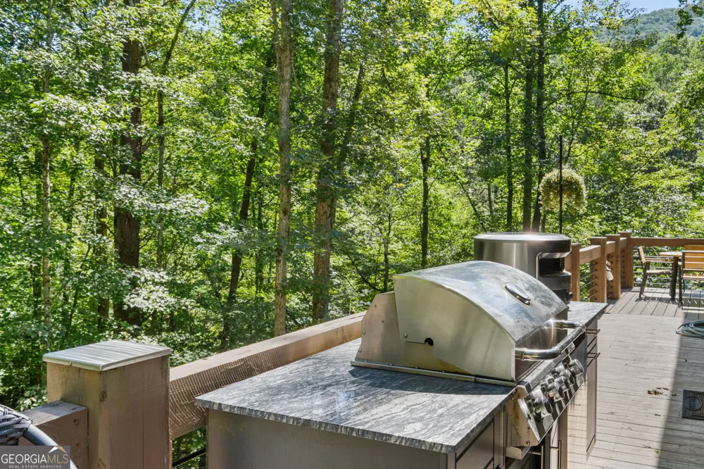 3149 Big Creek RD Cherry Log, GA 30522