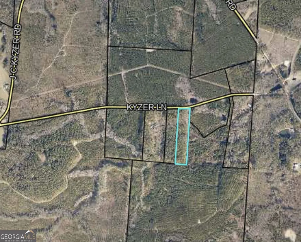 0 Kyzer LN Adrian, GA 31002