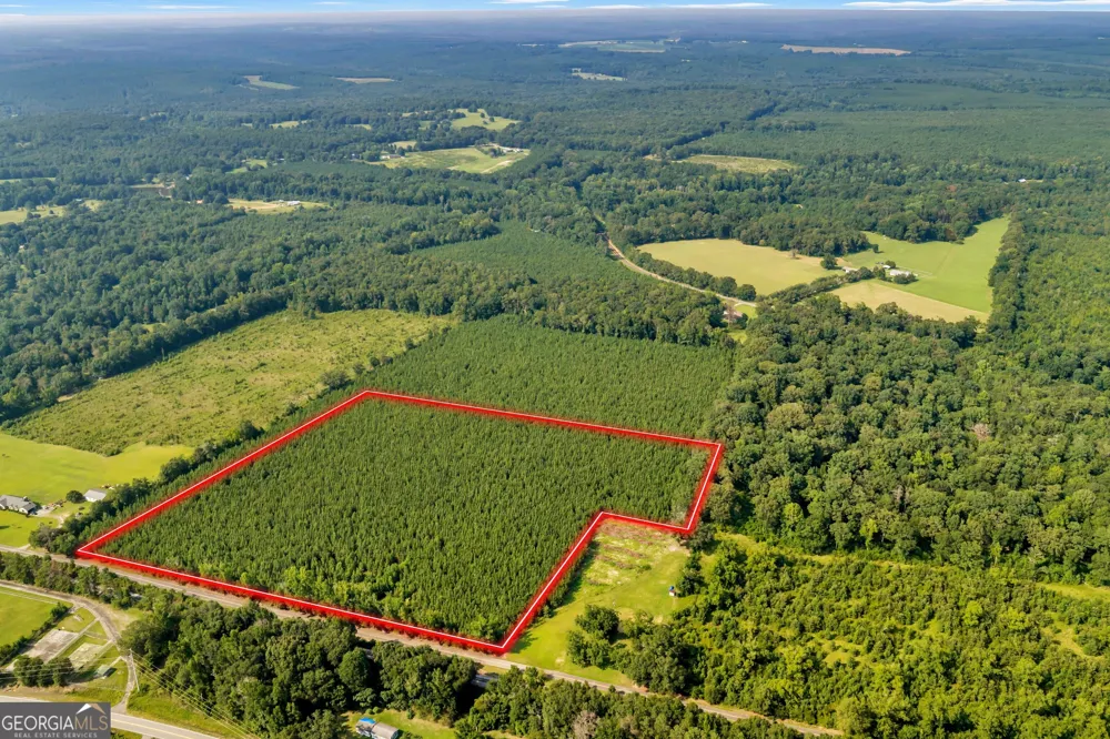 ALLEN LOT Turkey Creek RD Danville, GA 31017