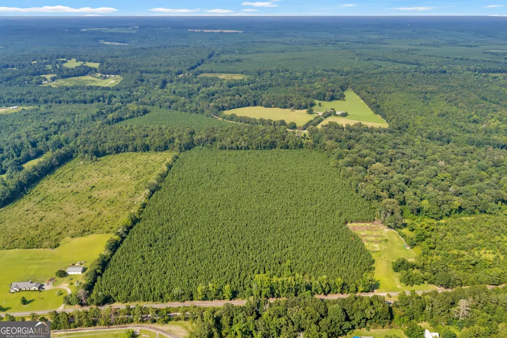 ALLEN LOT Turkey Creek RD Danville, GA 31017