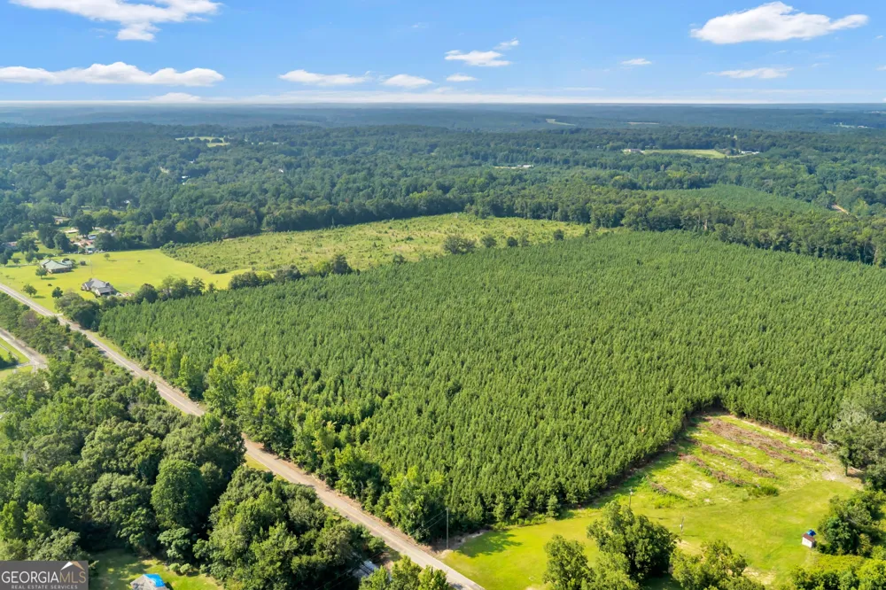 ALLEN LOT Turkey Creek RD Danville, GA 31017