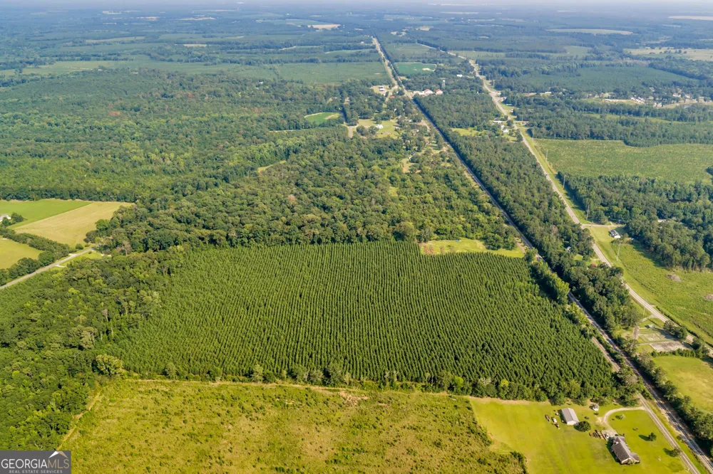ALLEN LOT Turkey Creek RD Danville, GA 31017
