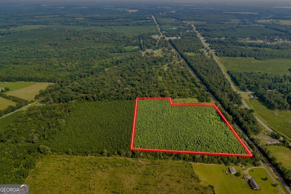 ALLEN LOT Turkey Creek RD Danville, GA 31017
