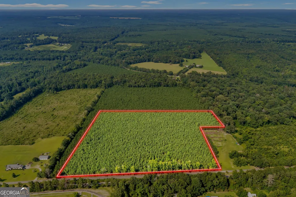 ALLEN LOT Turkey Creek RD Danville, GA 31017