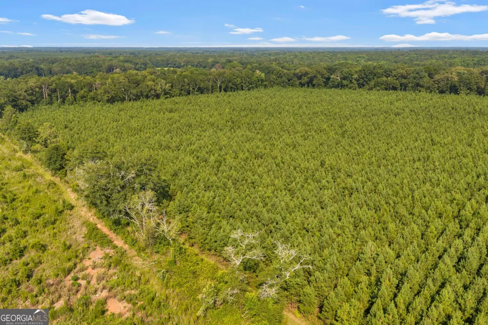 ALLEN LOT B Turkey Creek RD Danville, GA 31017