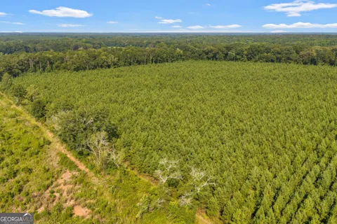 ALLEN LOT B Turkey Creek RD