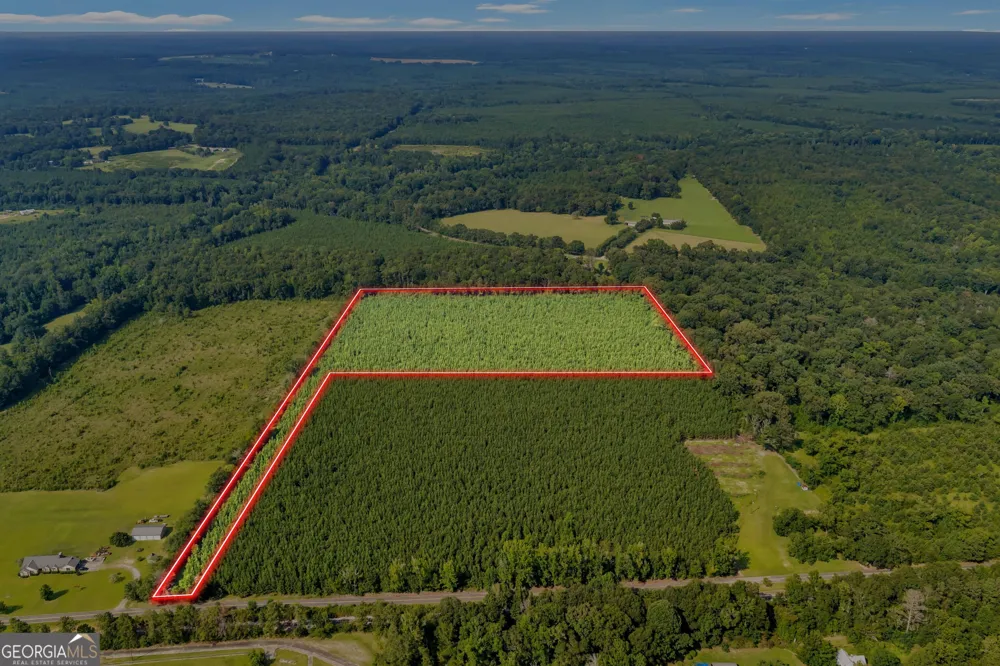 ALLEN LOT B Turkey Creek RD Danville, GA 31017