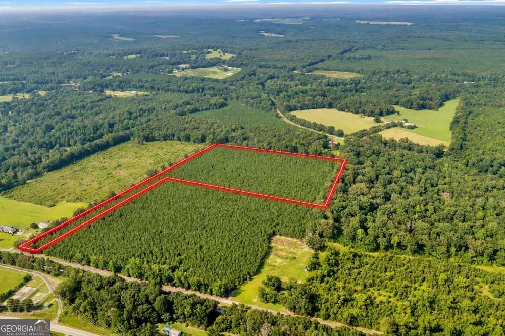 ALLEN LOT B Turkey Creek RD Danville, GA 31017