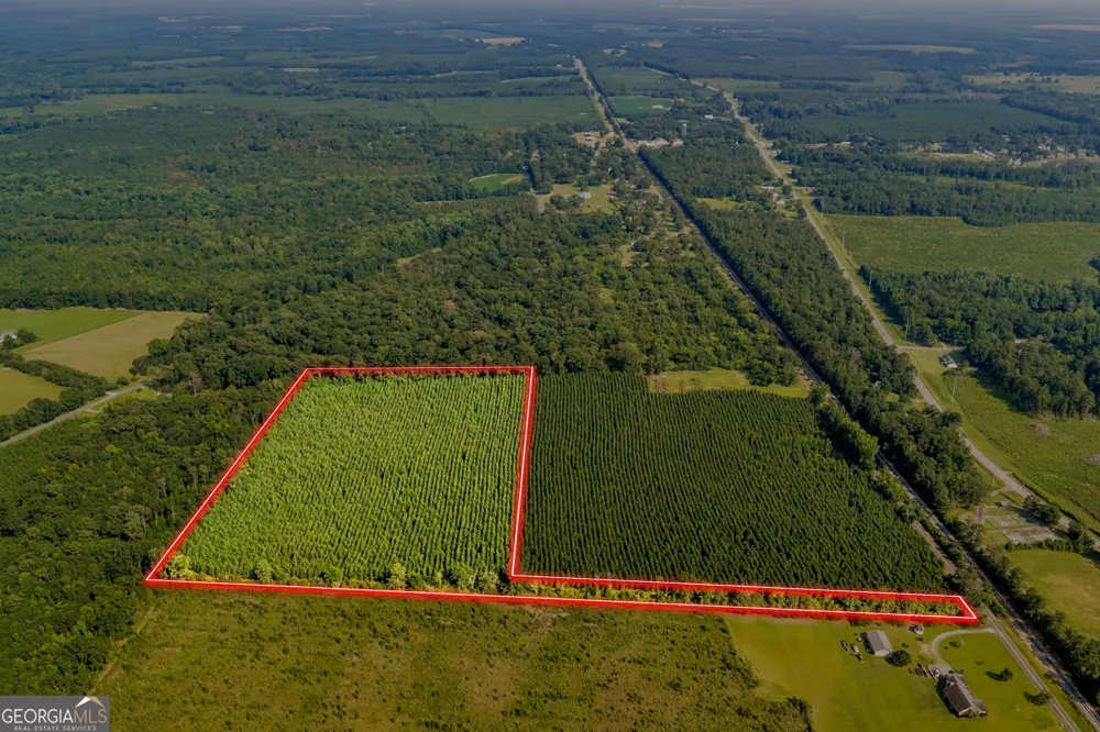 ALLEN LOT B Turkey Creek RD Danville, GA 31017
