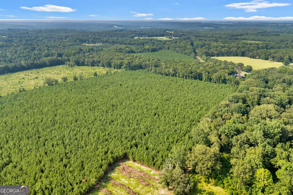 ALLEN LOT B Turkey Creek RD Danville, GA 31017