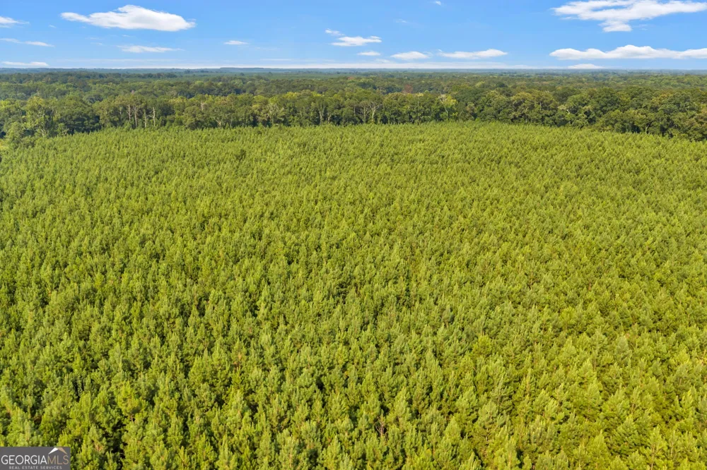 ALLEN LOT B Turkey Creek RD Danville, GA 31017