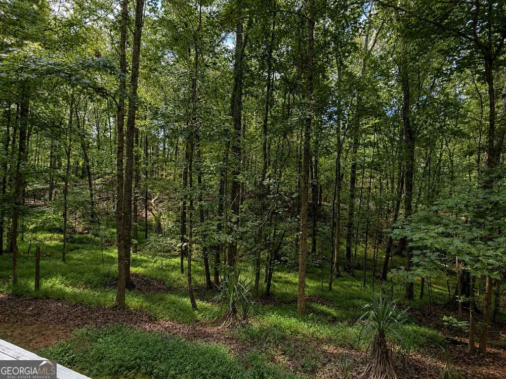 19 Rocky Shoals RD Palmetto, GA 30268