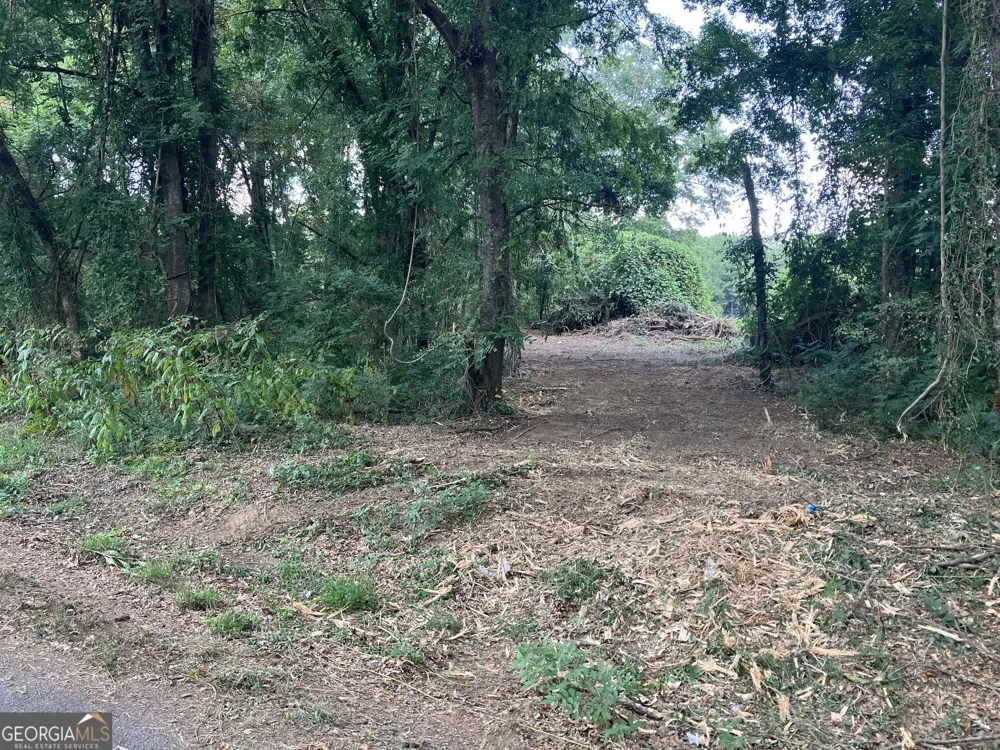 0 Durand HWY Warm Springs, GA 31830