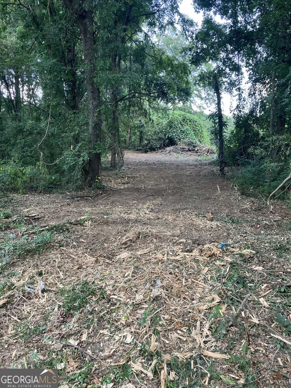 0 Durand HWY Warm Springs, GA 31830
