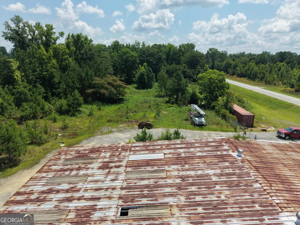 0 Highway 17 Midville, GA 30441
