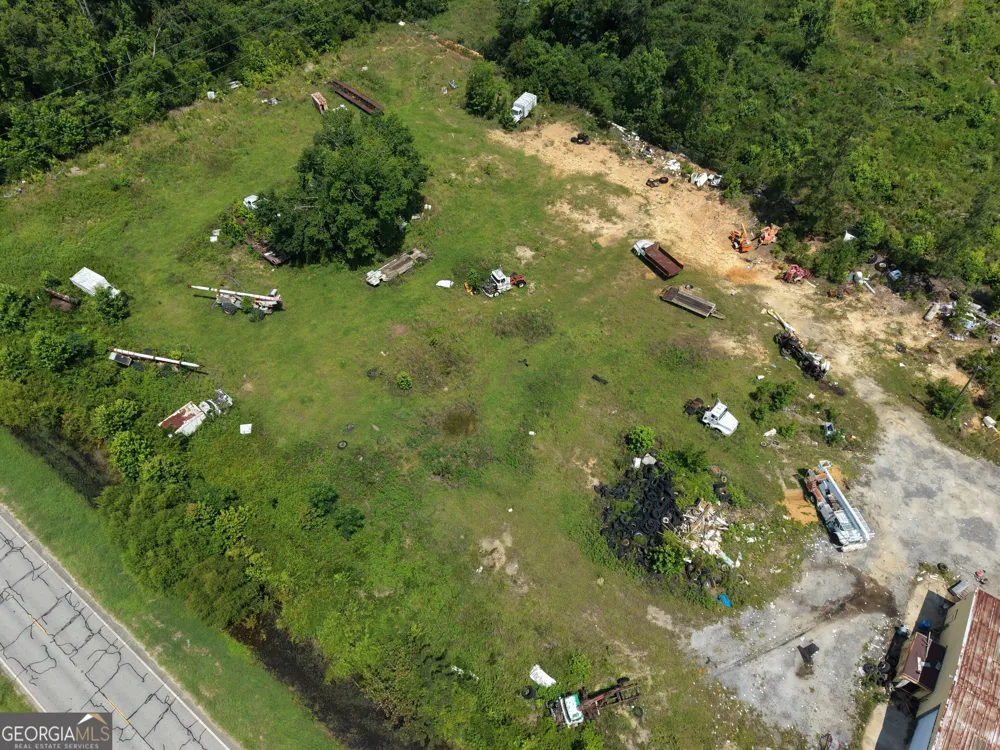 0 Highway 17 Midville, GA 30441