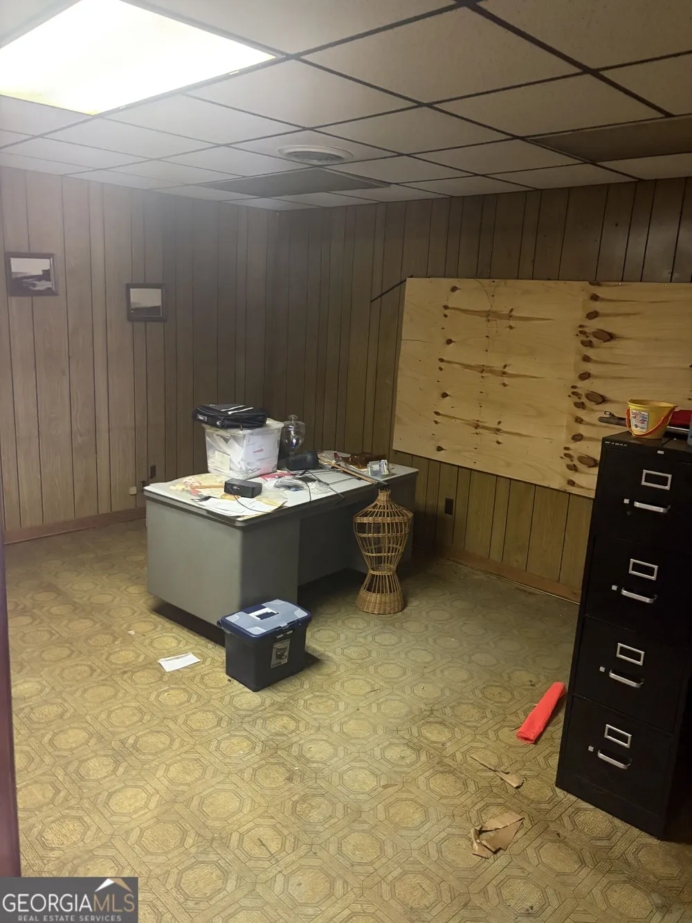 0 Highway 17 Midville, GA 30441