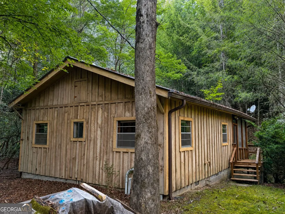 10 Fightingtown DR Blue Ridge, GA 30513