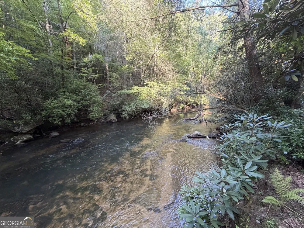 10 Fightingtown DR Blue Ridge, GA 30513