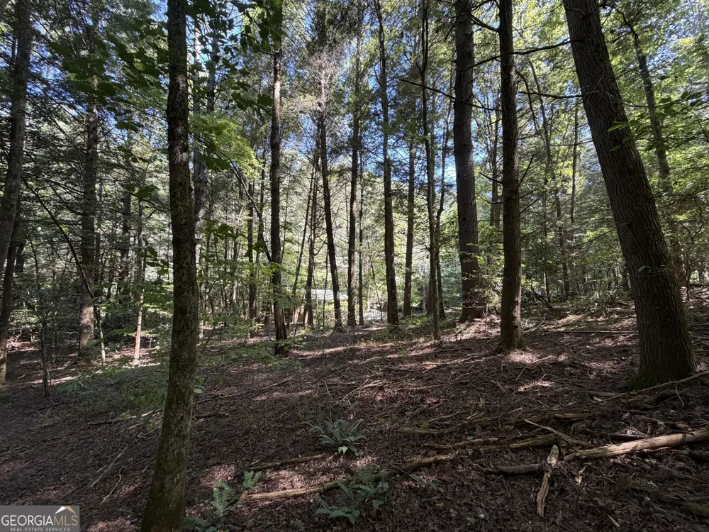 10 Fightingtown DR Blue Ridge, GA 30513