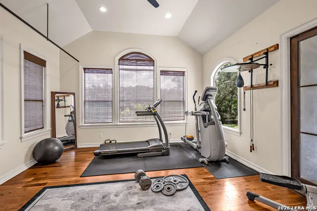 25052 Whistling Wind San Antonio, TX 78257