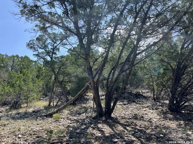 145 E HUNTER Pipe Creek, TX 78063