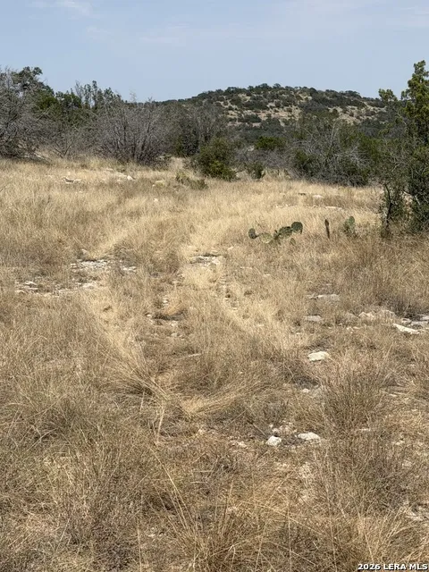 TBD SD 45455 Rocksprings, TX 78880