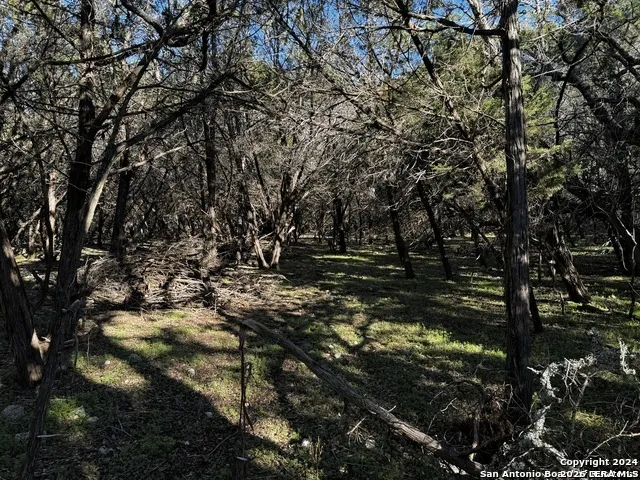 5111 Fm 1863 Bulverde, TX 78163