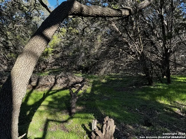 5111 Fm 1863 Bulverde, TX 78163