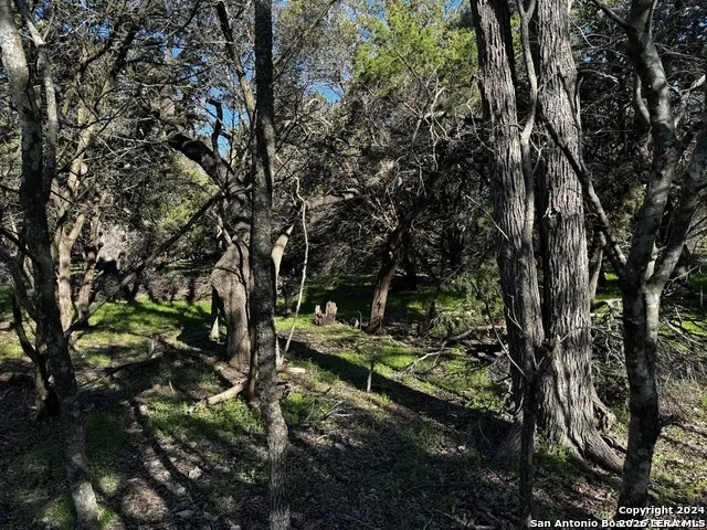 5111 Fm 1863 Bulverde, TX 78163