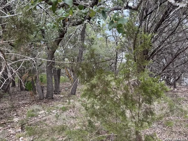 1567 CANYON BND Canyon Lake, TX 78133