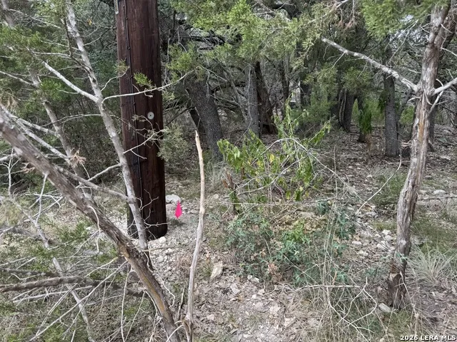 1567 CANYON BND Canyon Lake, TX 78133