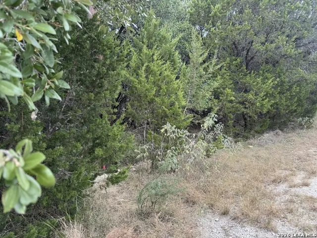 1567 CANYON BND Canyon Lake, TX 78133