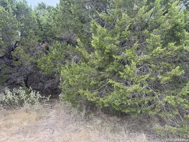 1567 CANYON BND Canyon Lake, TX 78133