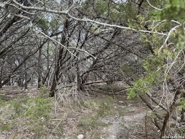 1567 CANYON BND Canyon Lake, TX 78133