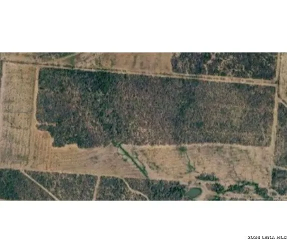 00-00 FM 472 Bigfoot, TX 78005