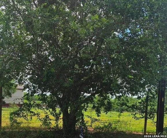 13808 LOT 2 Greenwood Rd Atascosa, TX 78002