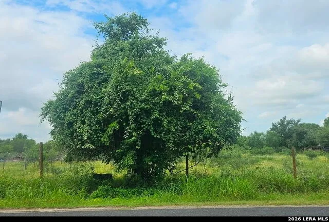 13808 LOT 2 Greenwood Rd Atascosa, TX 78002