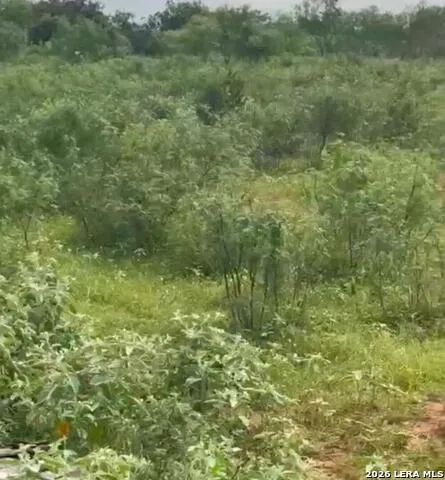 13808 LOT 2 Greenwood Rd Atascosa, TX 78002
