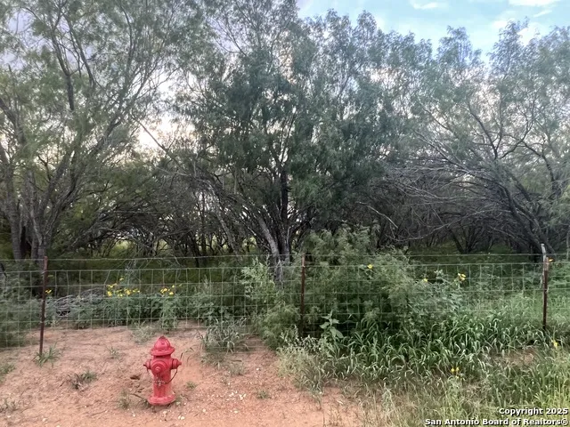 10477 Briggs Atascosa, TX 78002