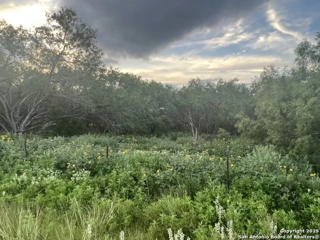 10477 Briggs Atascosa, TX 78002