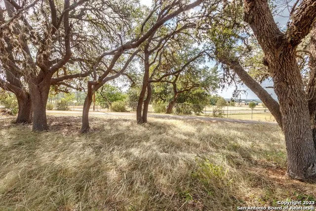 LOT 63 Orchard Park Blvd Medina, TX 78055
