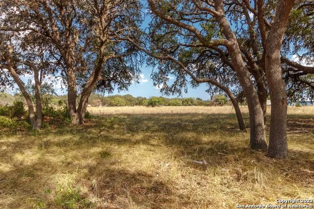 LOT 63 Orchard Park Blvd Medina, TX 78055