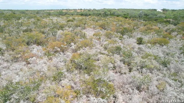 12654 HIGHWAY 339 Benavides, TX 78349