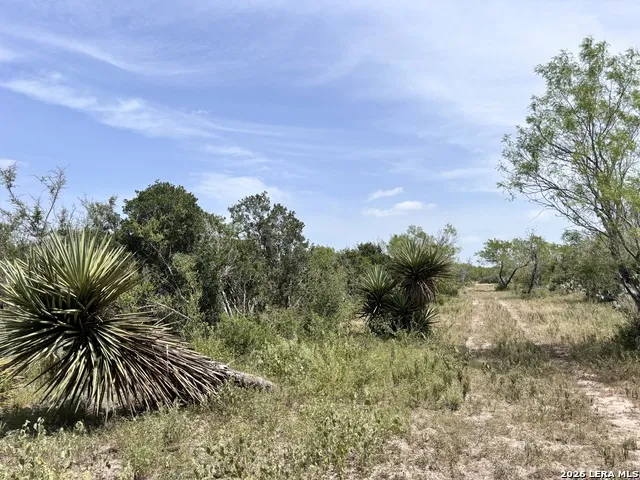 0 Hwy 359 Benavides, TX 78341
