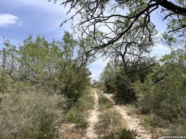 0 Hwy 359 Benavides, TX 78341