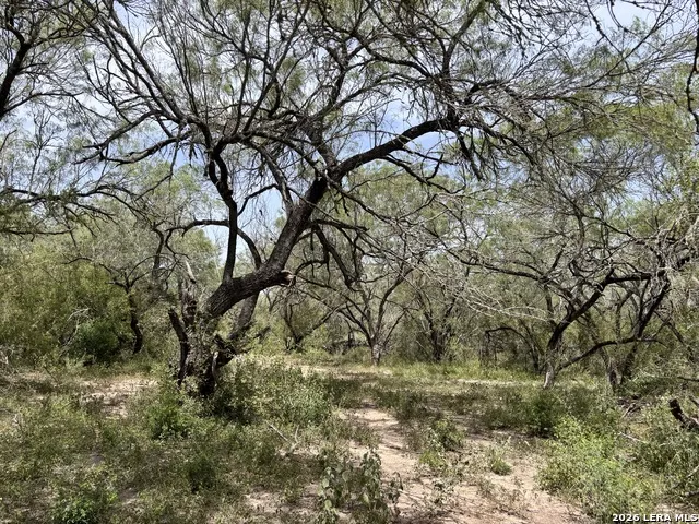 0 Hwy 359 Benavides, TX 78341
